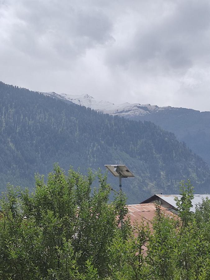 Woods Inn Mountain View Manali Exterior foto